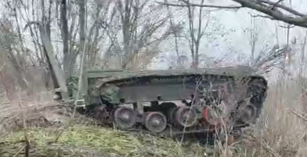 Рух у лісовому масиві
